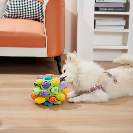 Sniffing Ball Puzzle