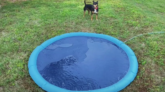 Non-Slip Splash Pad