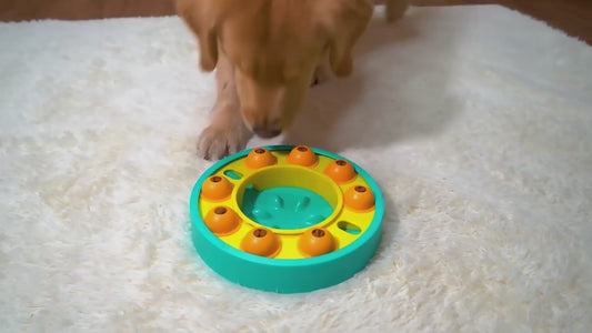 Interactive Slow Feeder Dog Puzzle