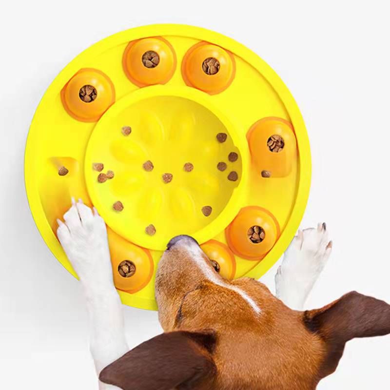 Interactive Slow Feeder Dog Puzzle