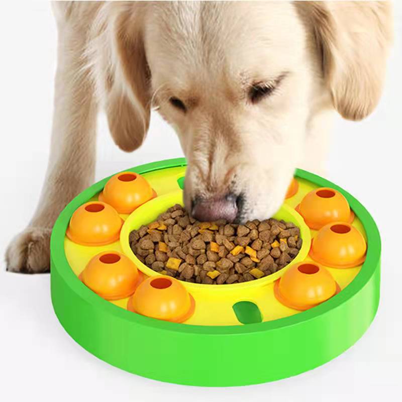 Interactive Slow Feeder Dog Puzzle