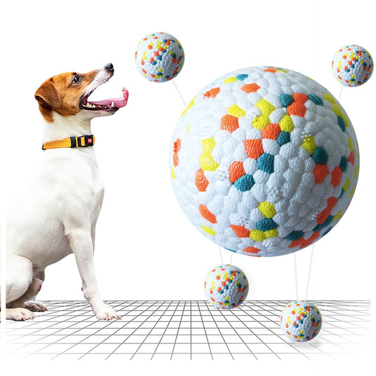 Durable & Interactive Dog Ball